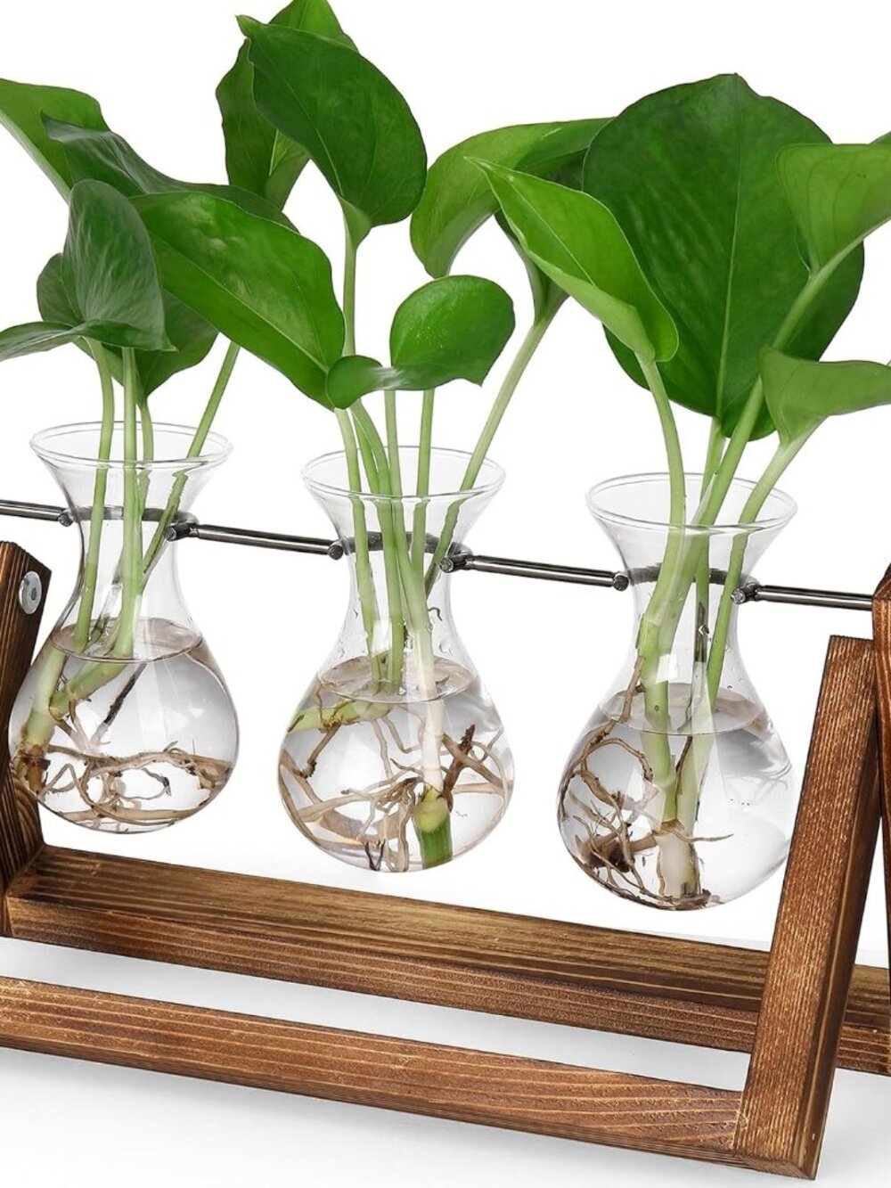 Propagation Stations,Plant Terrarium With Retro Wooden Stand, Unique Gardening B
